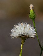 IMG_1656