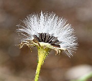 IMG_1663