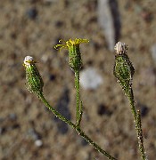 IMG_3947