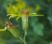 IMG_5325