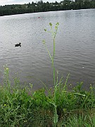 IMG_3907