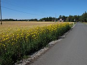 IMG_9818