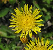 IMG_3400