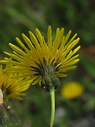 IMG_3403