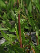 IMG_3404