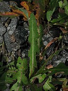 IMG_3408