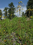 IMG_3411