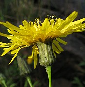 IMG_4489