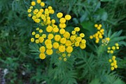 IMG_1298