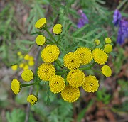 IMG_1728