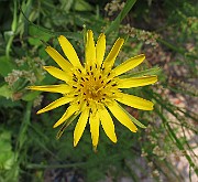 IMG_7098