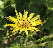 IMG_7103