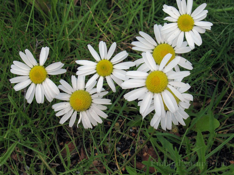 IMG_3683.jpg
