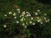 IMG_3971