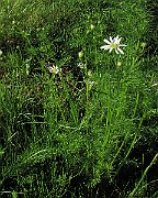 IMG_3972