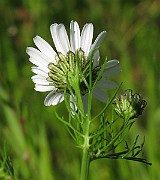 IMG_6190