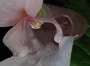 IMG_3679