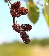 IMG_9372