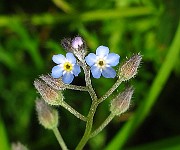 IMG_2987