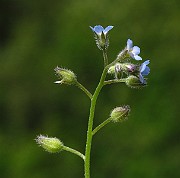 IMG_2989