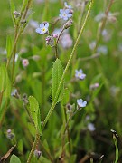 IMG_3769