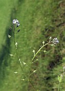 IMG_4322