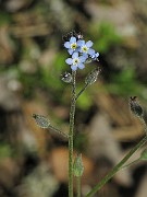 IMG_8050