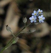 IMG_8053
