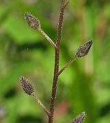 IMG_8054b