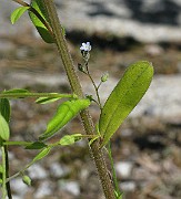 IMG_8058