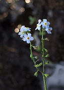 IMG_1352