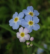 IMG_3433