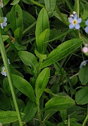 IMG_6539