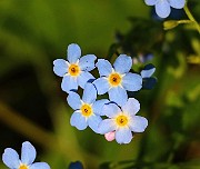 IMG_6652