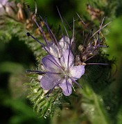 IMG_6157