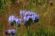 IMG_6193