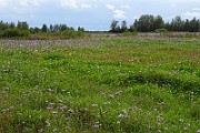 IMG_7001