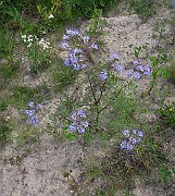 IMG_7013