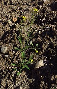 IMG_3913