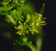 IMG_1720