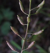 IMG_3714b
