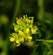 IMG_6120