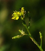 IMG_6124