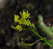 IMG_7889