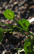 IMG_3808