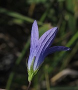 IMG_7685