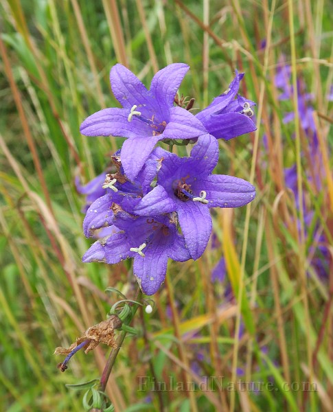 IMG_6978.JPG