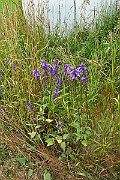 IMG_6976