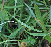 IMG_6569