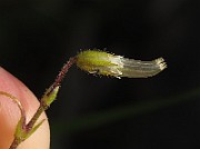 IMG_7489